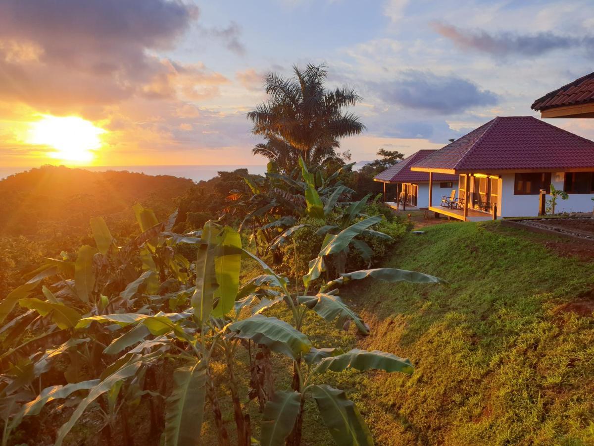 Palmetto Lodge Playa San Miguel Zewnętrze zdjęcie